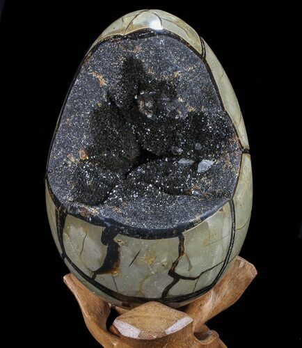 Septarian Dragon Egg Geode - Black Crystals #72078